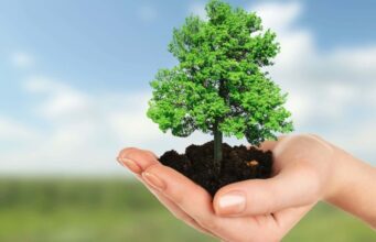 alla scoperta del green marketing